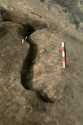 Thumbnail of Section of hearth (160) facing north into baulk (scale 50 cm)