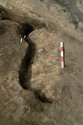 Thumbnail of Section of hearth (160) facing north into baulk (scale 50 cm)