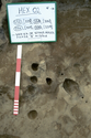 Thumbnail of Sections of phase 1b stakeholes (332) (334) (336) (338) (scale 50cm)