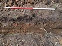 Thumbnail of Trench 3: west facing stratigraphy