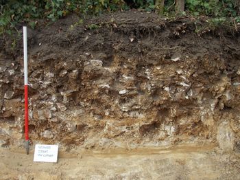 5 Burcote Road, Wood Burcote, Northamptonshire. Archaeological Watching Brief (OASIS ID: kdkarcha1-213799)