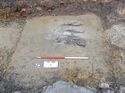 Thumbnail of Foundations in Trench 1
