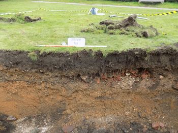 Ware Priory, Ware, Hertfordshire. Archaeological Strip, Map and Sample Excavation and Watching Brief (OASIS ID: kdkarcha1-293404)