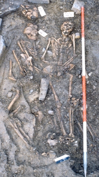 Skeletons excavated at Llandough