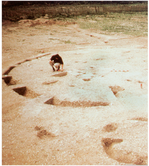Introduction image: Iron Age round houses excavated at Stockley Park