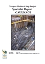 Newport_Medieval_Ship_Specialist_Report_Caulkage.pdf