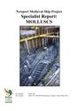 Newport_Medieval_Ship_Specialist_Report_Molluscs.pdf