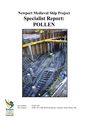 Newport_Medieval_Ship_Specialist_Report_Pollen.pdf