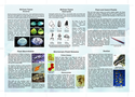 Thumbnail of Molluscs, Insects and Plant Fossils recognition sheet: side two