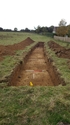 Thumbnail of Trench 5 view to WSW general shot