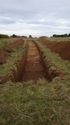 Thumbnail of Trench 5 general shot view to ENE