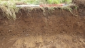 Thumbnail of Trench 8 representative section view to SSE