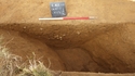 Thumbnail of Trench 7 S. 7003 ditch [7005] view to North (arrow wrong in image)
