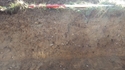 Thumbnail of Trench 15 Section 1500 representative section towards SE