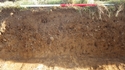Thumbnail of Trench 6 Section 603 Pit [612]