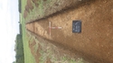 Thumbnail of Trench 4, trench shot lookinh NE