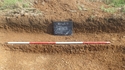 Thumbnail of Trench 4, S 401, [403] looking E