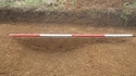 Thumbnail of Trench 2, S. 201, [203] looking W