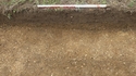 Thumbnail of Trench 6, S. 6001, [6002] looking S