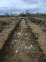 Thumbnail of View to NW trench 11