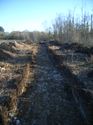 Thumbnail of View to E trench 14