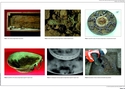 Thumbnail of <em>Plate 1: Saltwood Tunnel. 6th century Anglo-Saxon ring sword. Plate 2: Mid to late 6th century Anglo-Saxon radiate-headed brooch. Plate 3: Late 6th to early 7th century Anglo-Saxon composite disc brooch. Plate 4: Late 6th to 7th century Anglo-Saxon type B1 'Coptic' bowl. Plate 5: X-radiograph showing repair to Anglo-Saxon type B1 'Coptic' bowl. Plate 6: Excavation of early medieval articulated dog skeleton.</em> <br  />(SLT_PXAssessment_SFB99_Plate1-6.jpg)