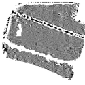 Thumbnail of Greyscale image of the outcome of a geophysical survey at Sidford, Devon (South part)