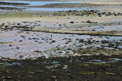 Samson Flats submerged prehistoric field system, Isles of Scilly, UK. © F. Sturt