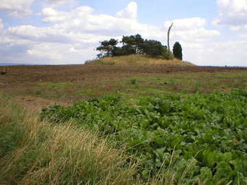 Photograph of burial mound at Blois Hall Farm