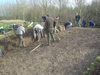 Thumbnail of Volunteers cutting section