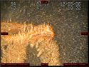 Thumbnail of Unidentified wreck feature; still from video