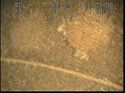 Thumbnail of Unidentified wreck feature
