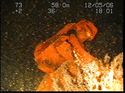 Thumbnail of Unidentified wreck feature; still from video