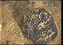 Thumbnail of Piece of coal; still from video