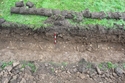 Thumbnail of Trench 1 PX. Sk 14 and 15