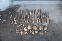 Thumbnail of human bones from Trench 2