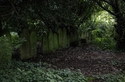 Thumbnail of Recording shot of grave in churchyard