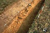 Test excavation of an anti-glider ditch, showing damage by bracken roots.