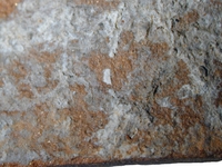 Hand specimen, fresh broken surface - Agora F65-66
