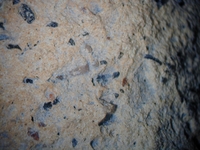 Thumbnail of Late Roman Amphora 1 - Image HS200106