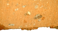 Hand specimen, fresh broken surface - Dressel 2-4 Cos