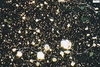Thumbnail of Spatheion 1 - Image CNV10024