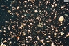 Thumbnail of Dressel 1 - Image CNV3002B2