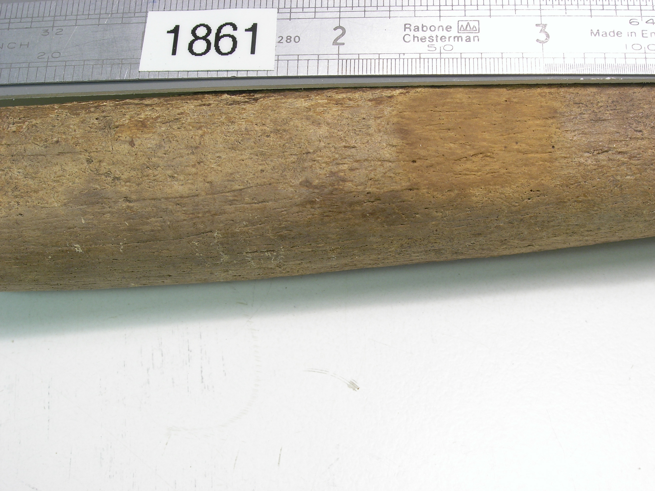 radiocarbon dating ivory Almost all the world’s illegal ivory comes from elephants that have been recently killed, researchers say. radiocarbon dating ivory Almost all the world’s illegal ivory comes from elephants that have been recently killed, researchers say.