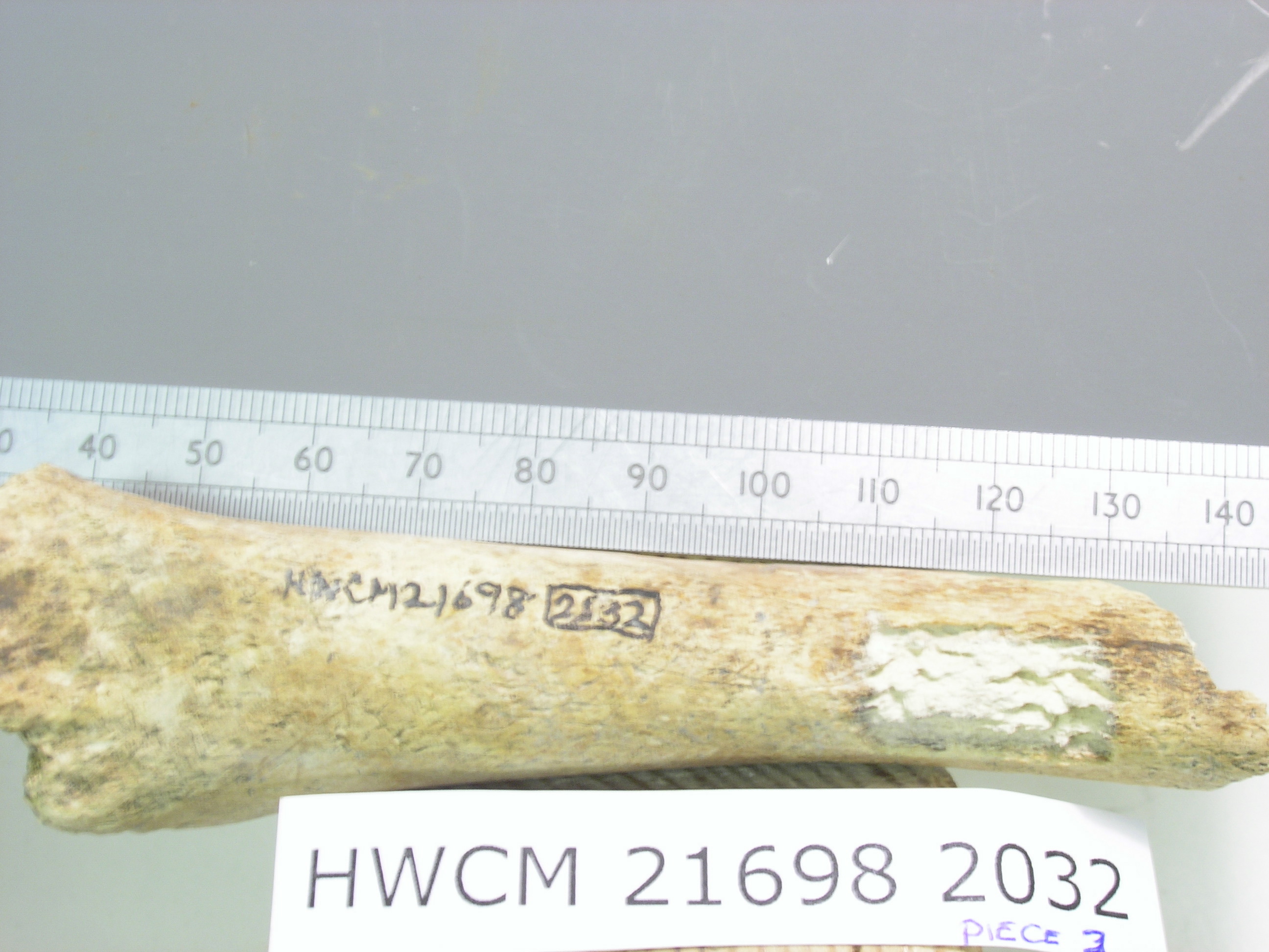 carbon dating ivory Radiocarbon dating is the principal method for determining the age of carbon-bearing materials from the present to about 50,000 years ivory, teeth: 500 g: 100 g. carbon dating ivory Radiocarbon dating is the principal method for determining the age of carbon-bearing materials from the present to about 50,000 years ivory, teeth: 500 g: 100 g.