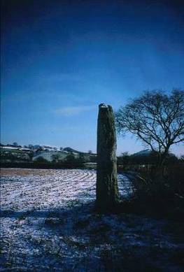 Figure 40: Maes Mochnant Standing Stone, Powys. Photograph no. cs97066005 © CPAT 2007.