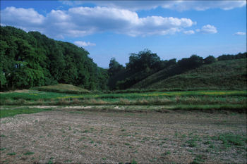 Image from the Cottam archive showing the landscape