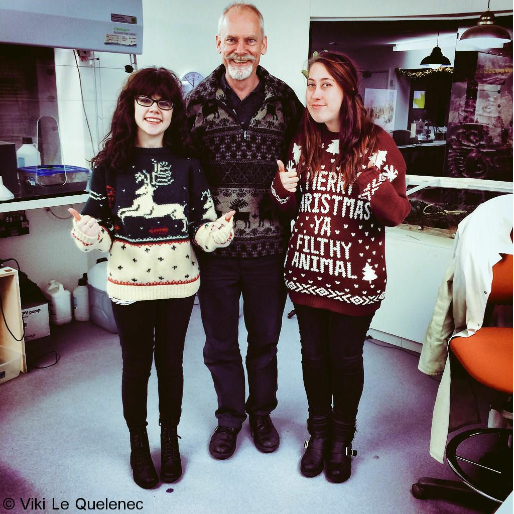Staff in festive Christmas outfits. Competition winning image.