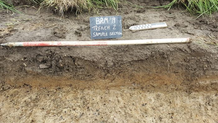 Photograph of a trench with BRM'19, Trench 2, sample section written on a chalk board