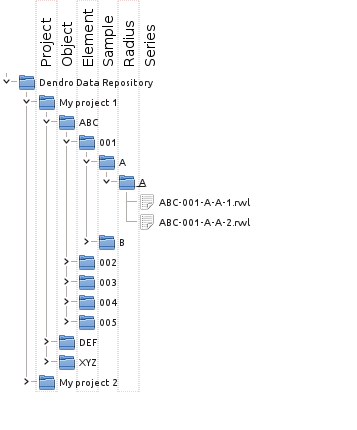 screenshot of structure of folders when saving dendrochronological data files